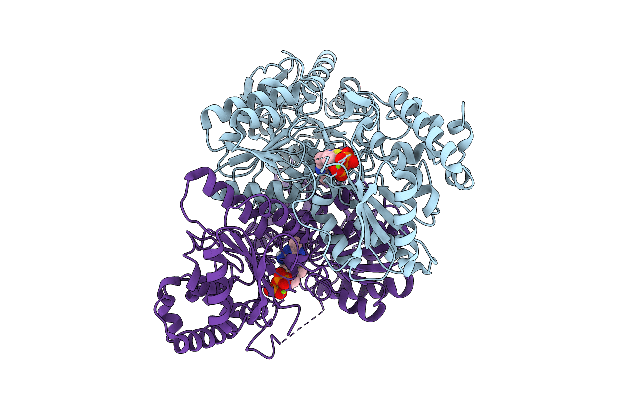 7A9H image
