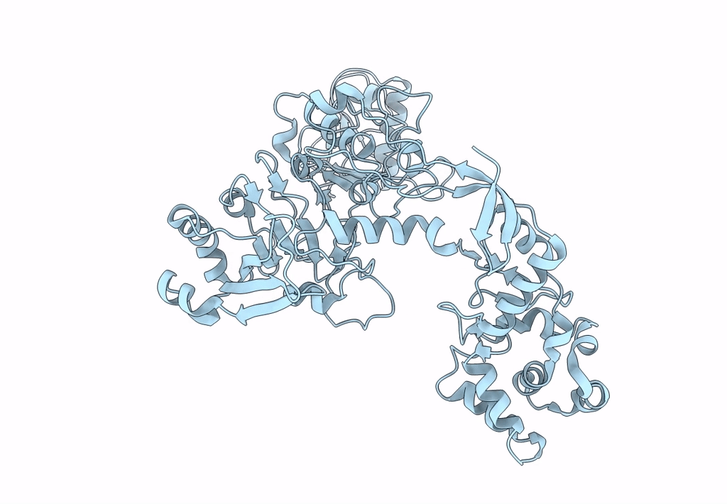 7ADJ image