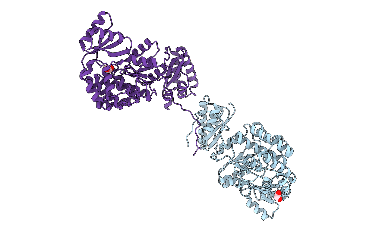 7AGP image