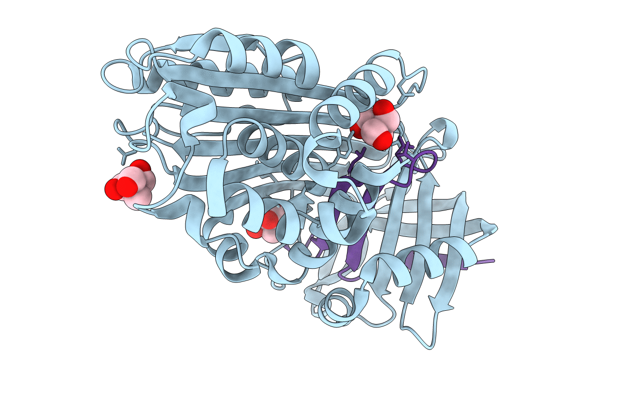 7AHP image