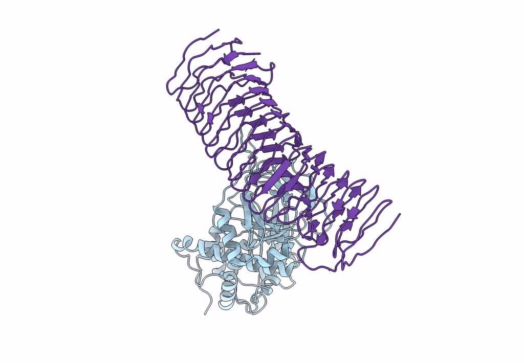 7AKV image