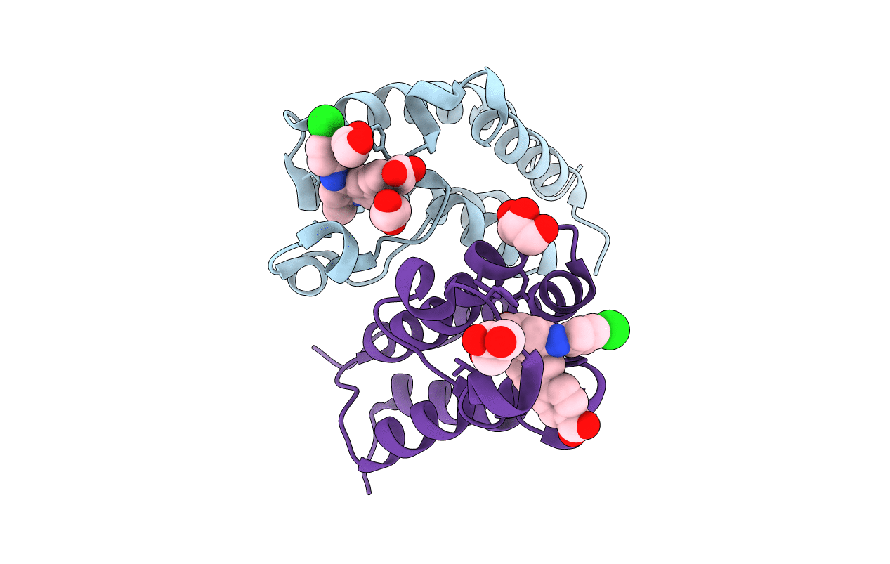 7AMC image