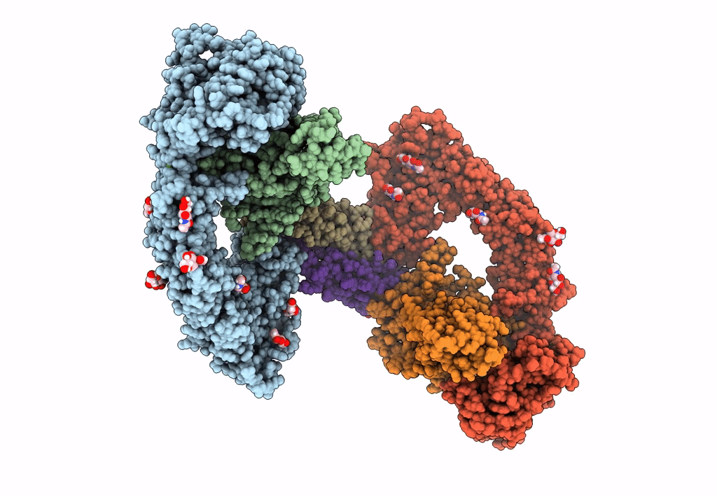 7AML image