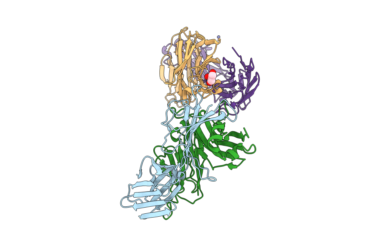 7AMP image