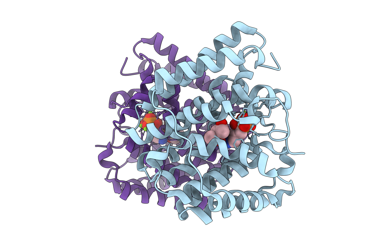 7AO2 image