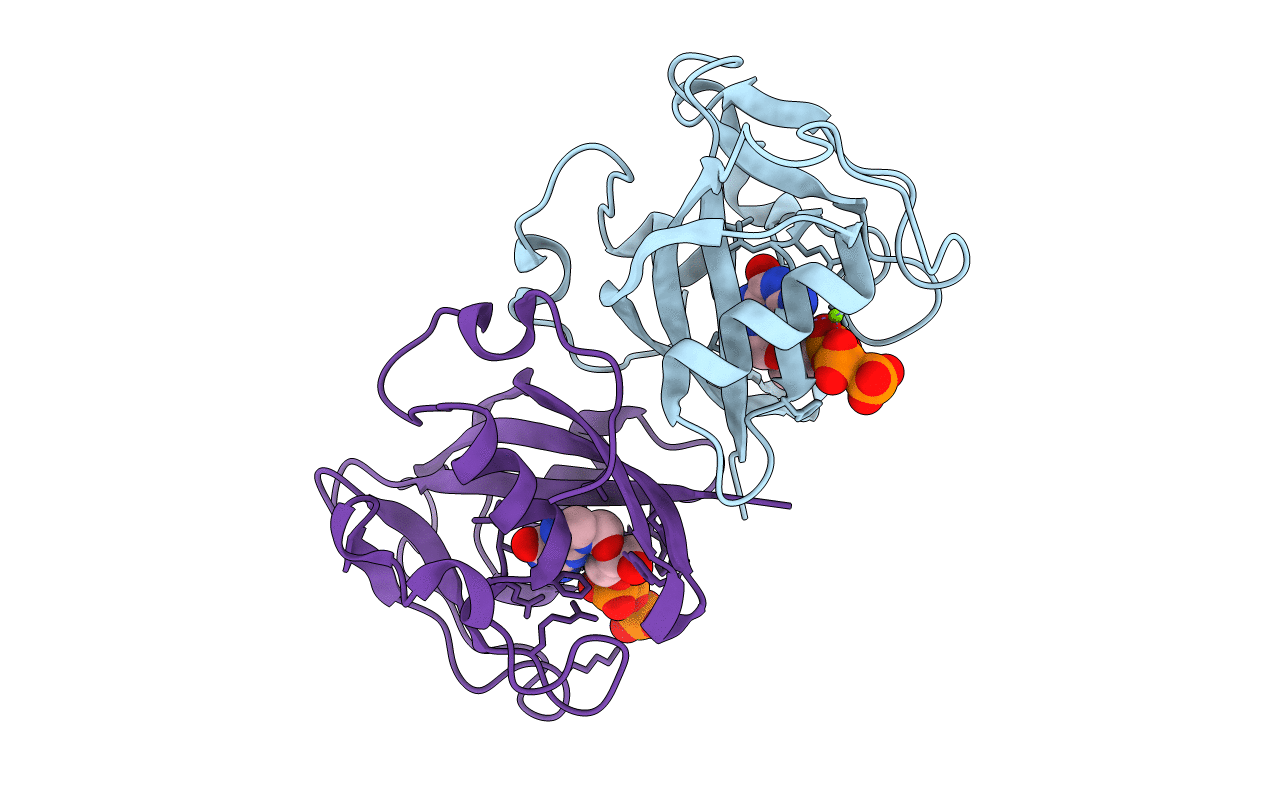 7AOM image