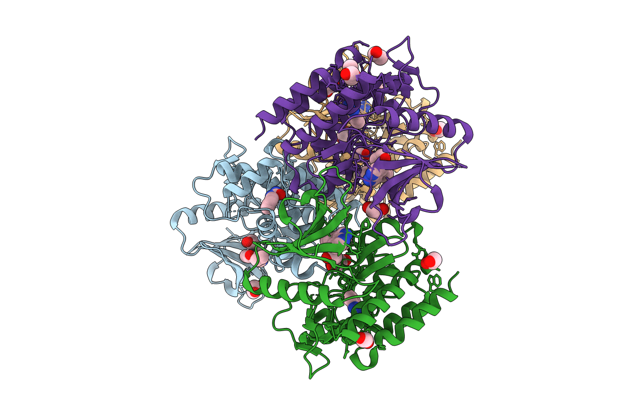 7APG image