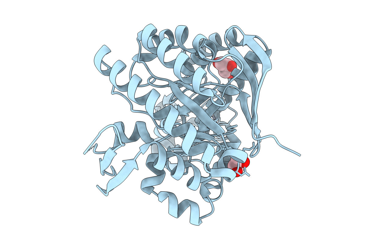7APL image