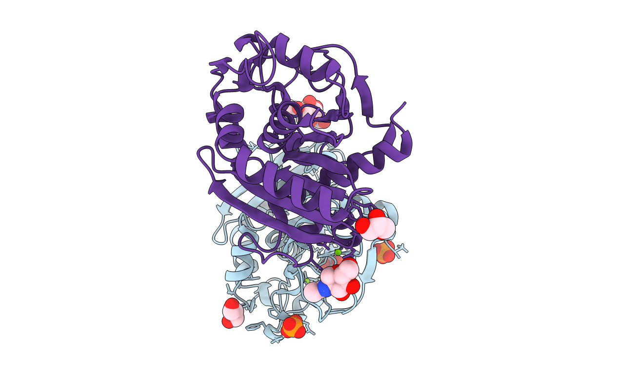 7APN image