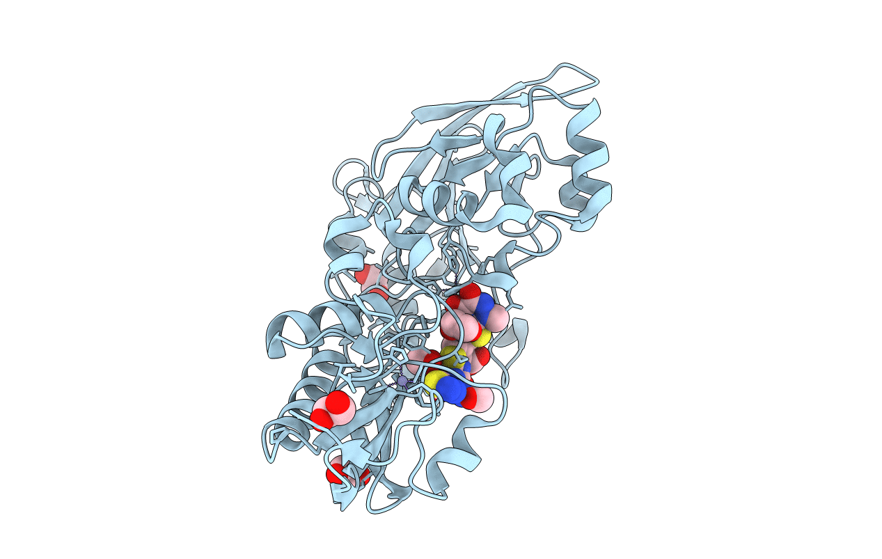 7APV image
