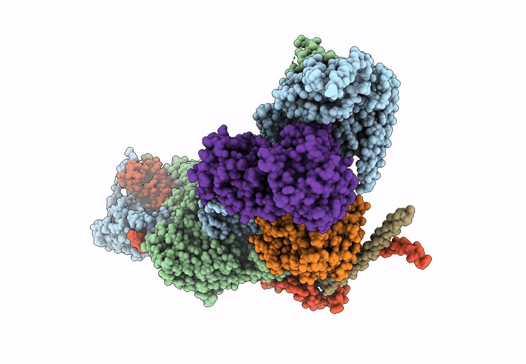7APX image