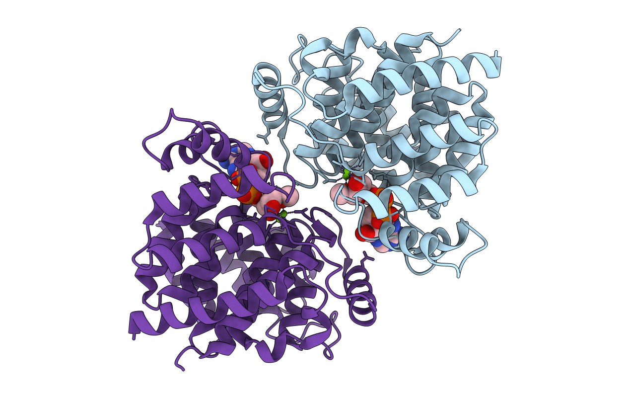 7AQM image