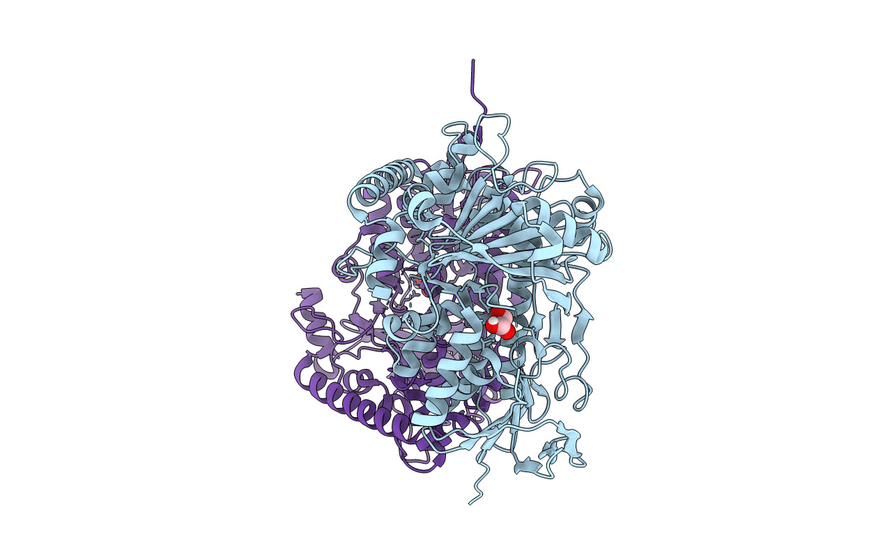 7AQV image
