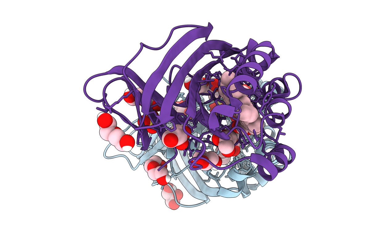 7ASB image