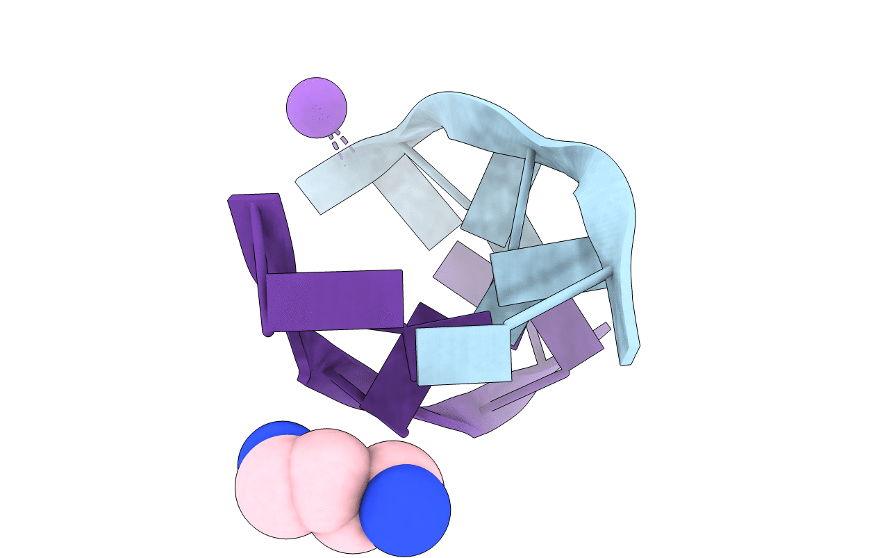 7ATG image