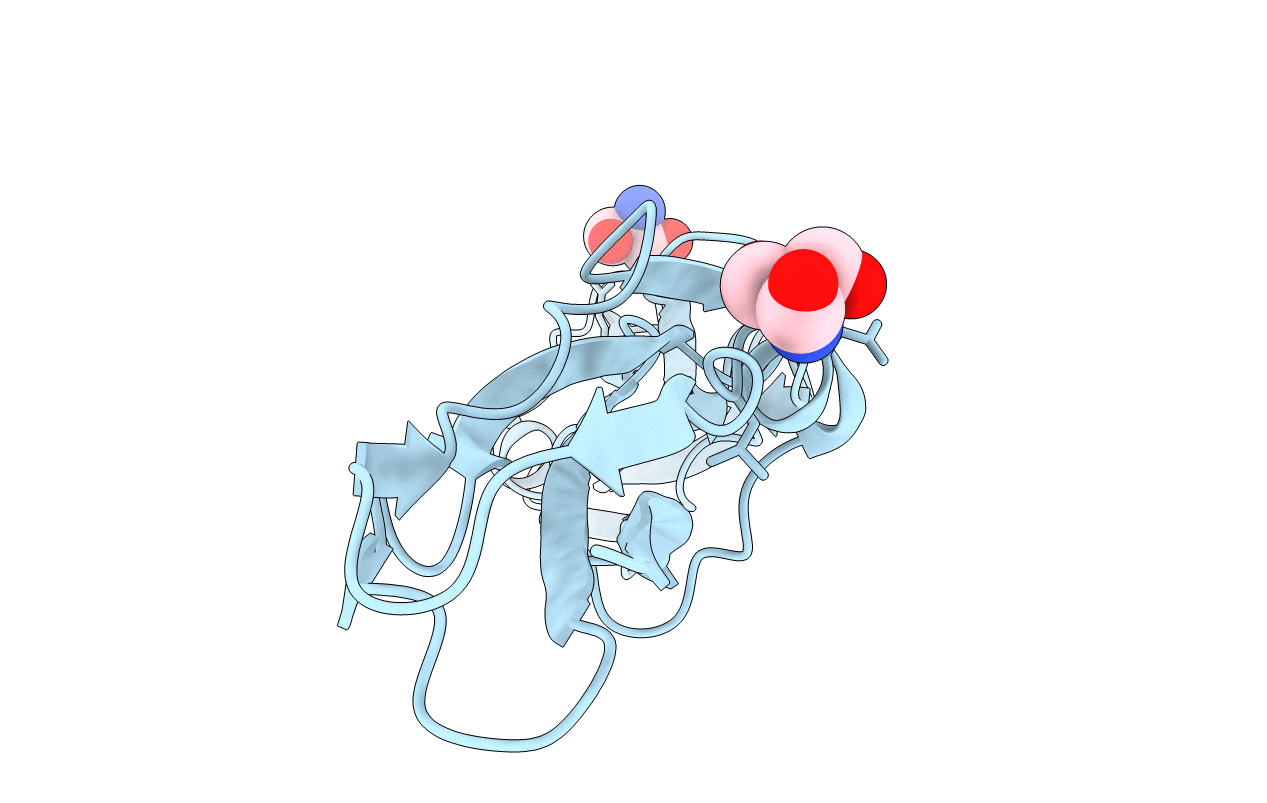 7AVH image