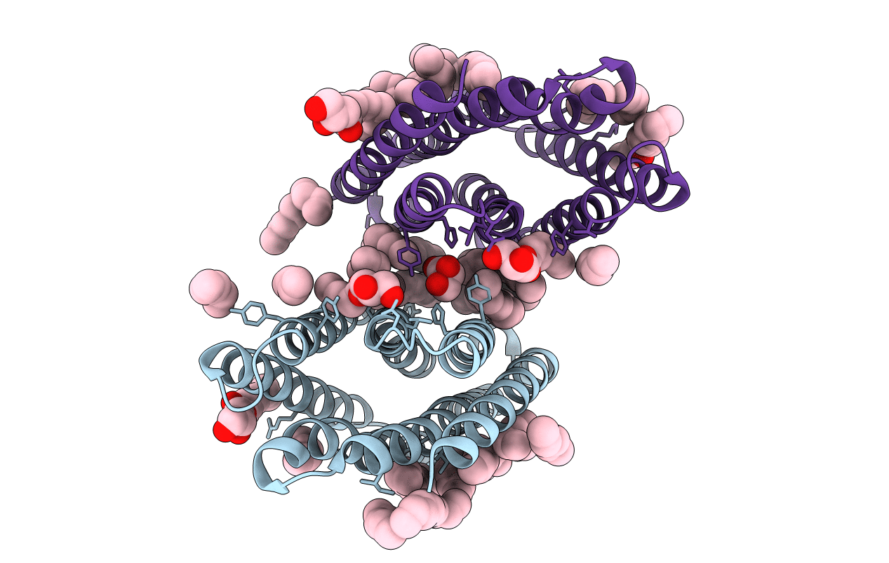 7AVN image