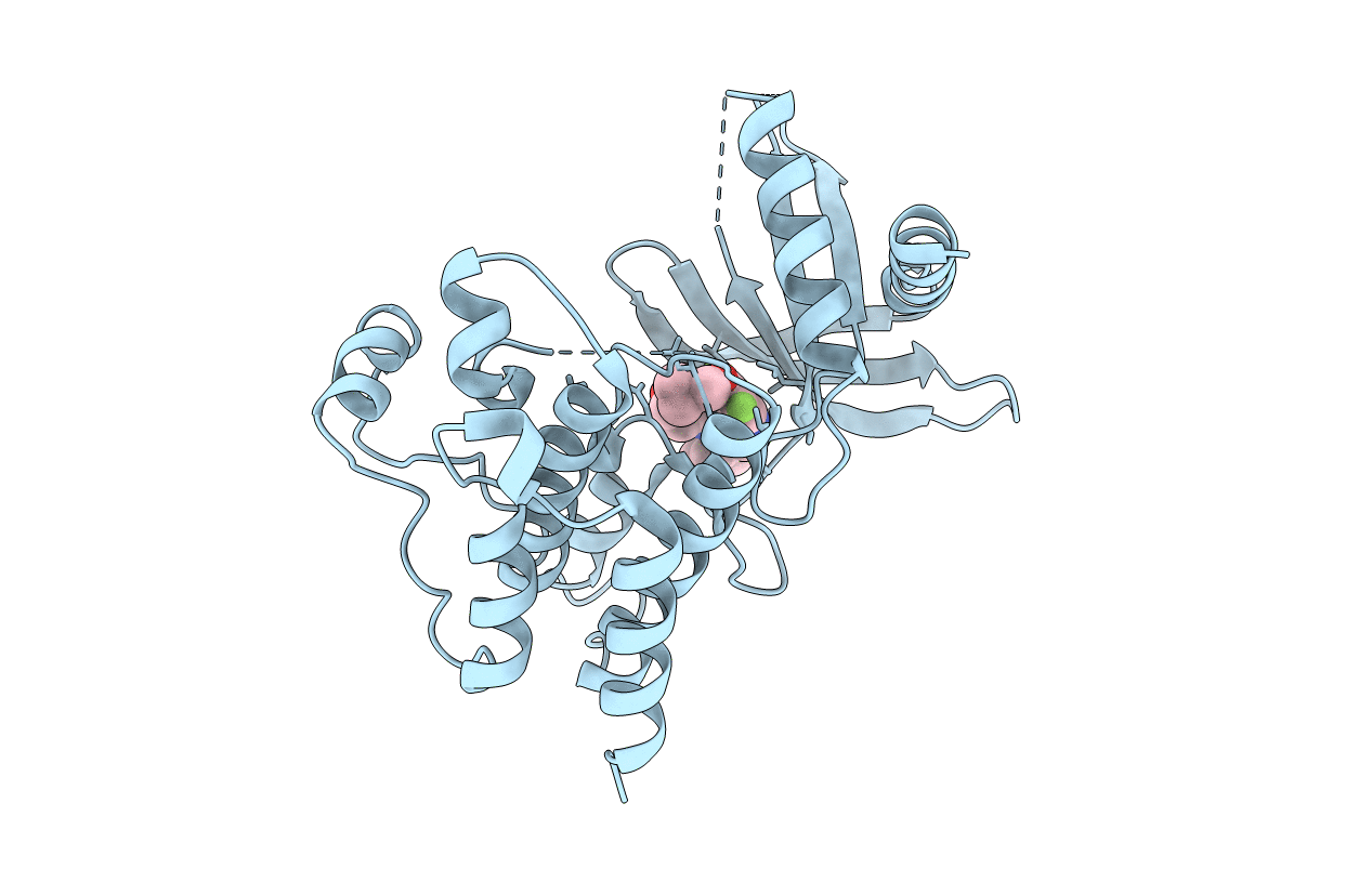 7AVZ image