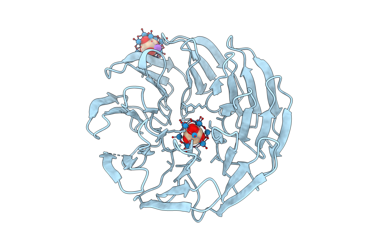 7AX2 image