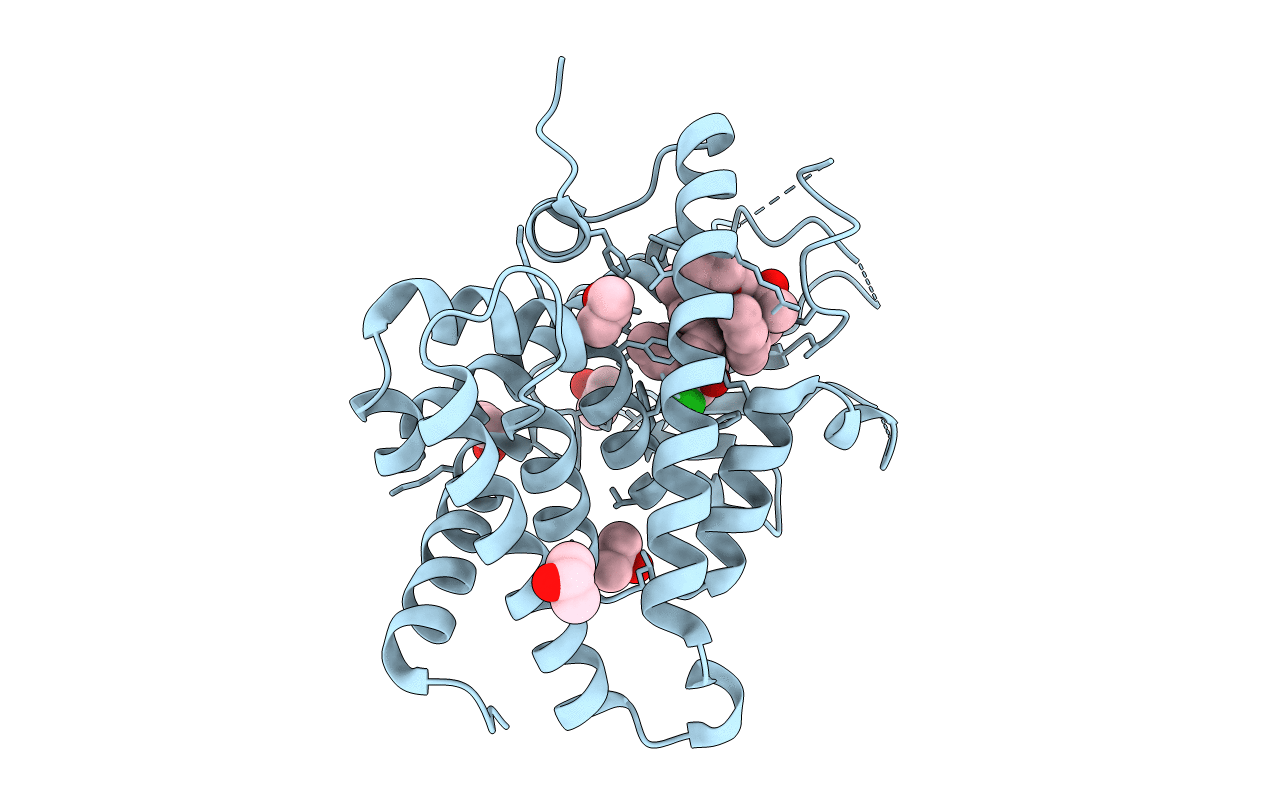 7AXF image