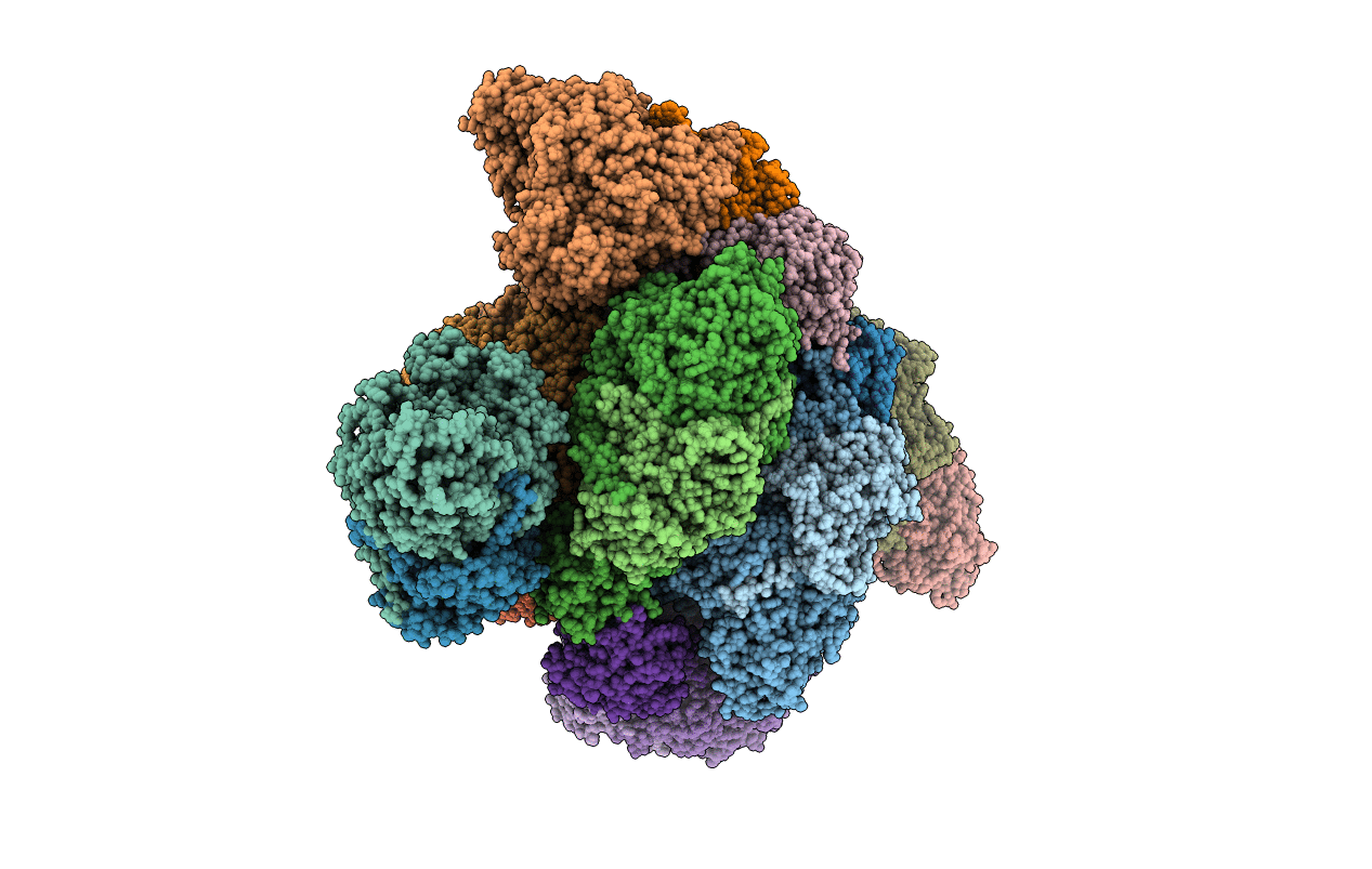 7B04 image