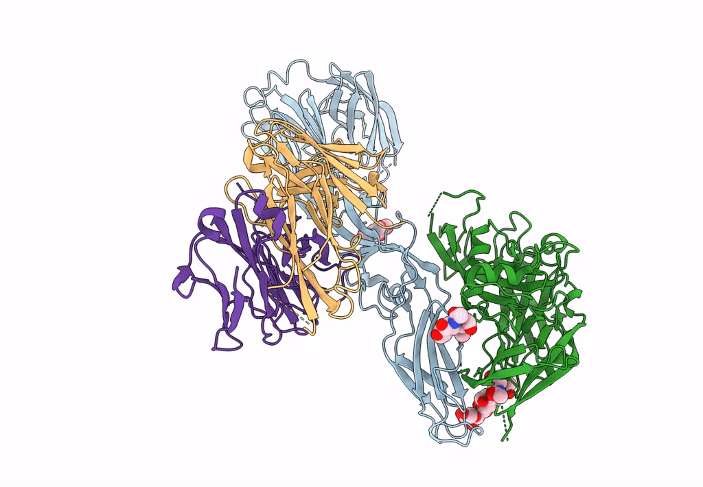 7B09 image