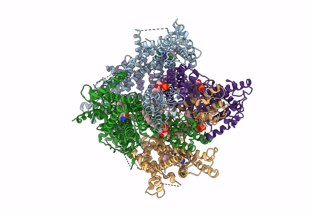 7B16 image