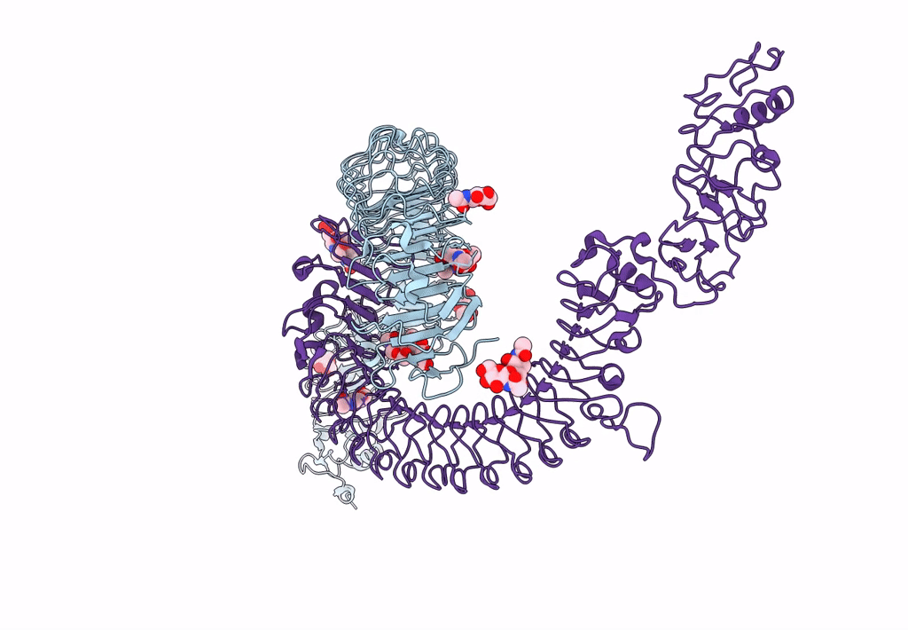 7B1D image