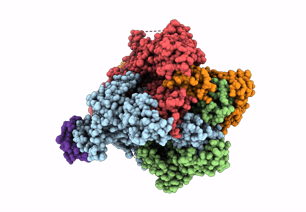 7B1G image