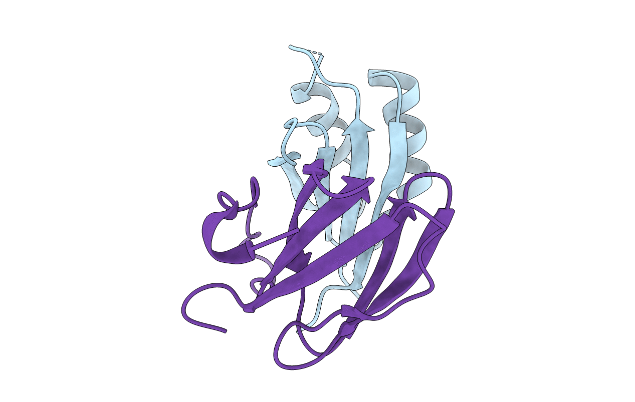 7B1I image