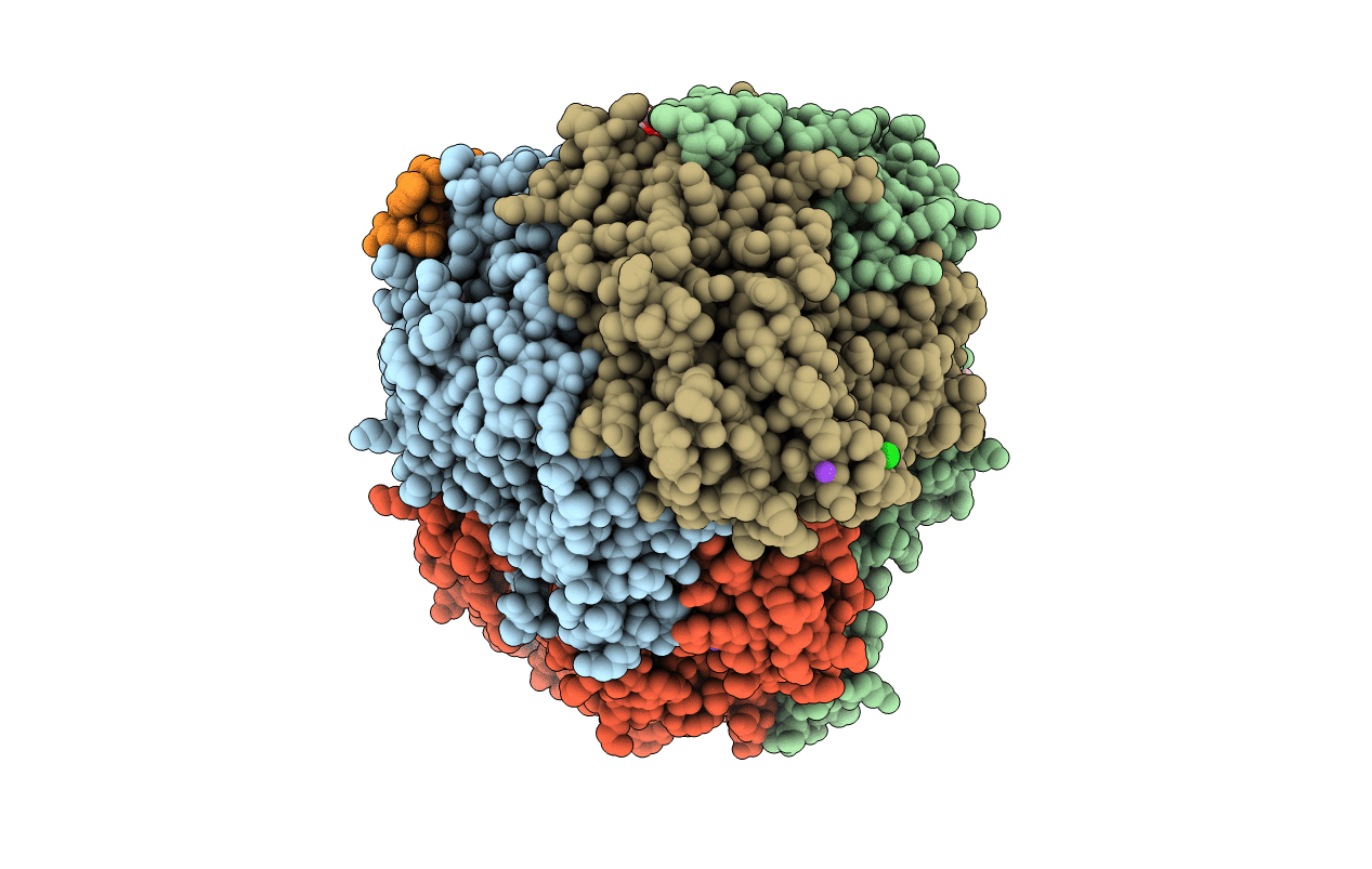 7B1S image