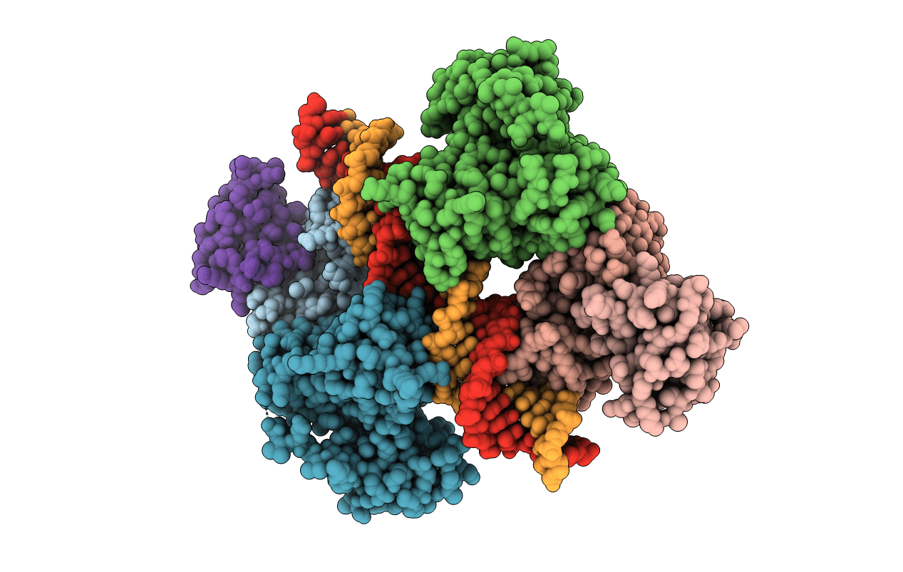 7B20 image