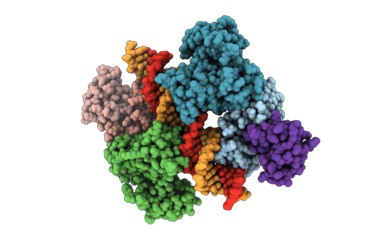 7B24 image