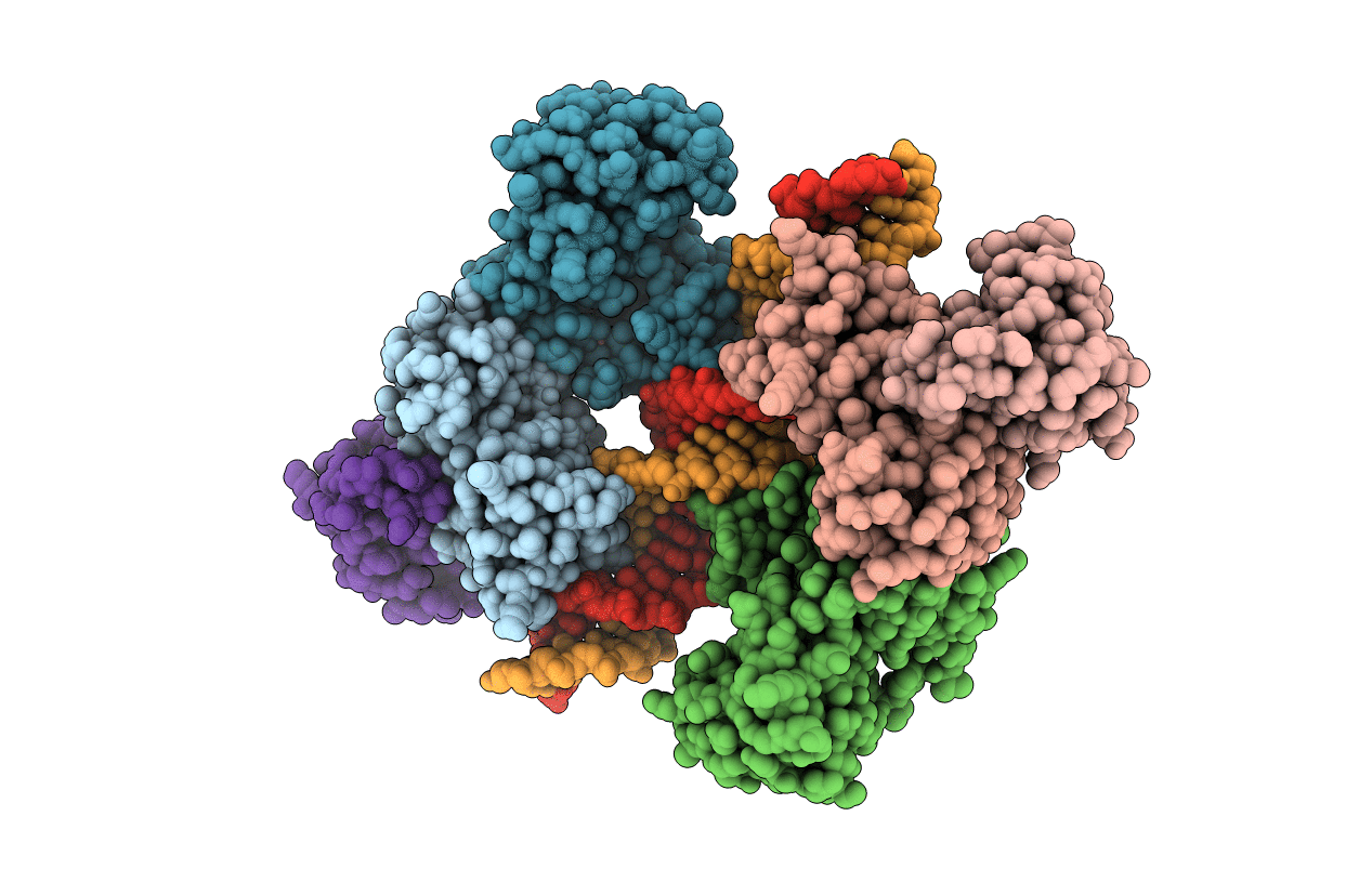 7B25 image