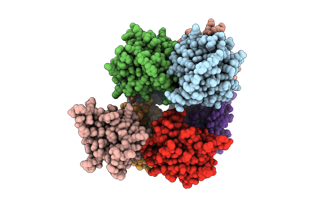 7B28 image