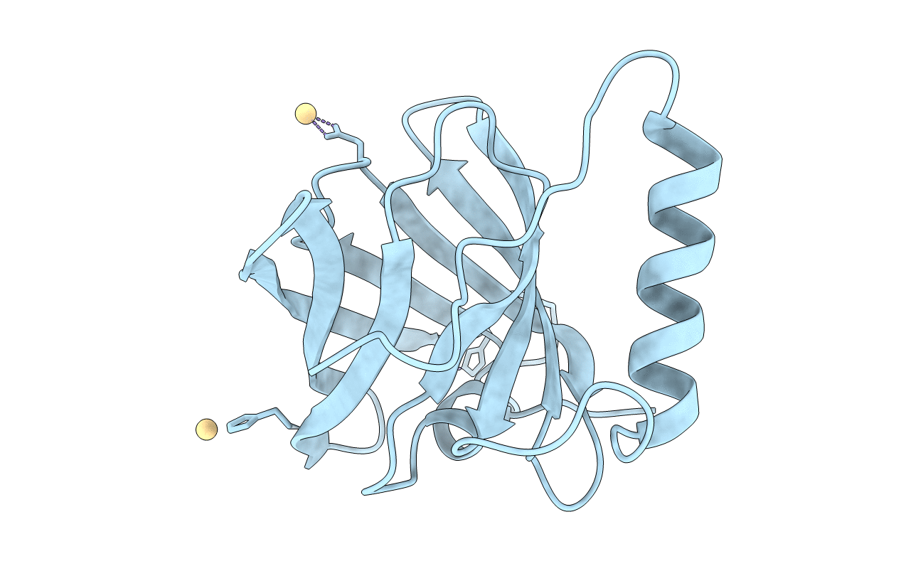 7B29 image