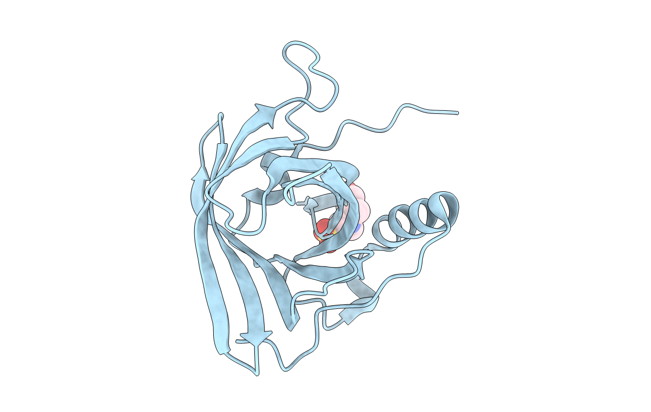 7B2A image
