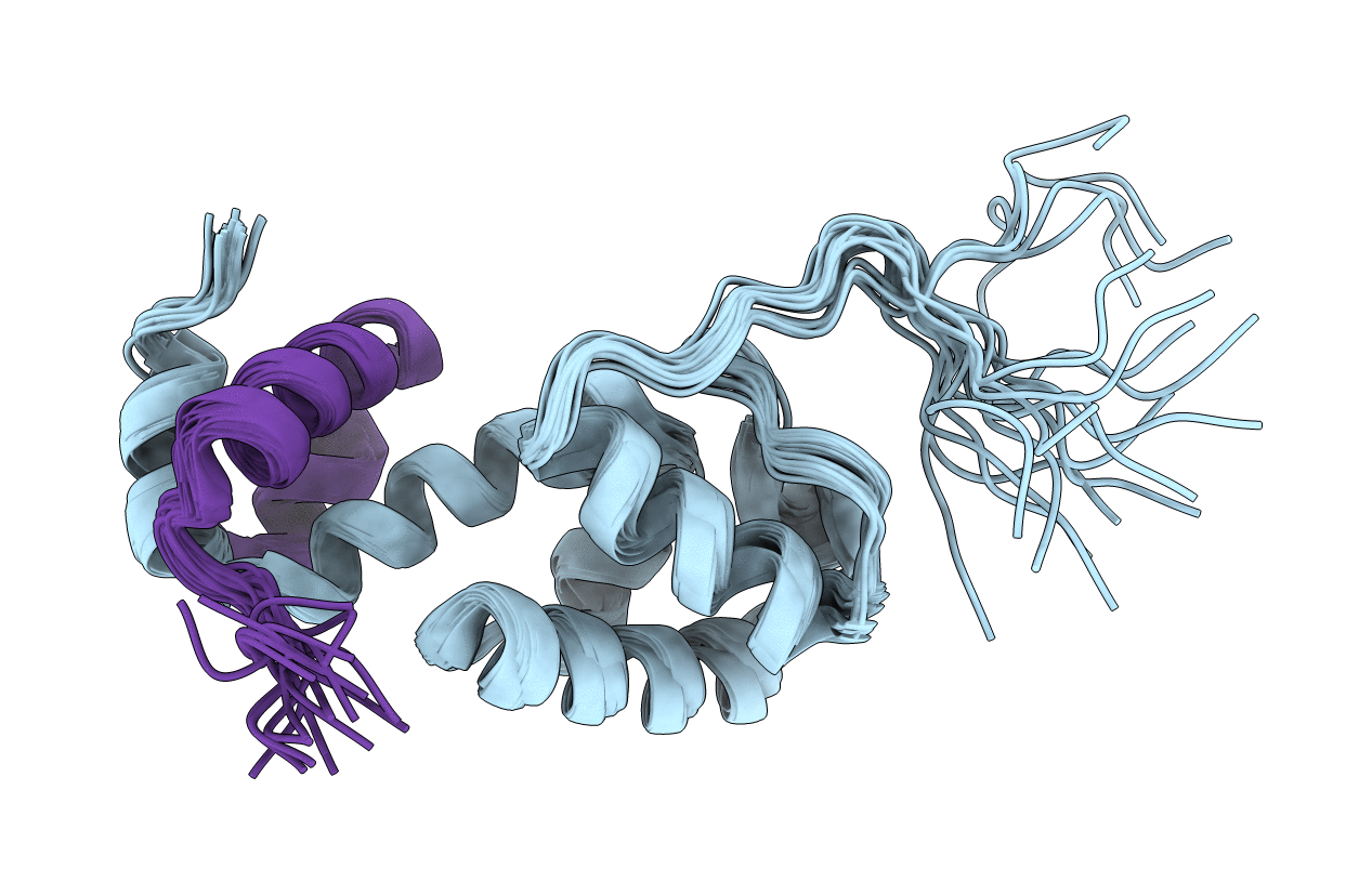 7B2B image