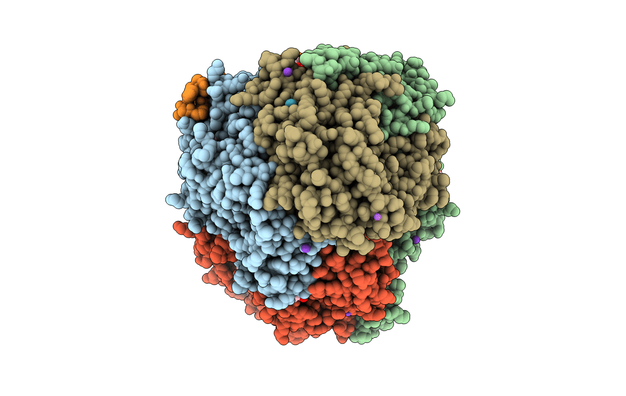 7B2C image