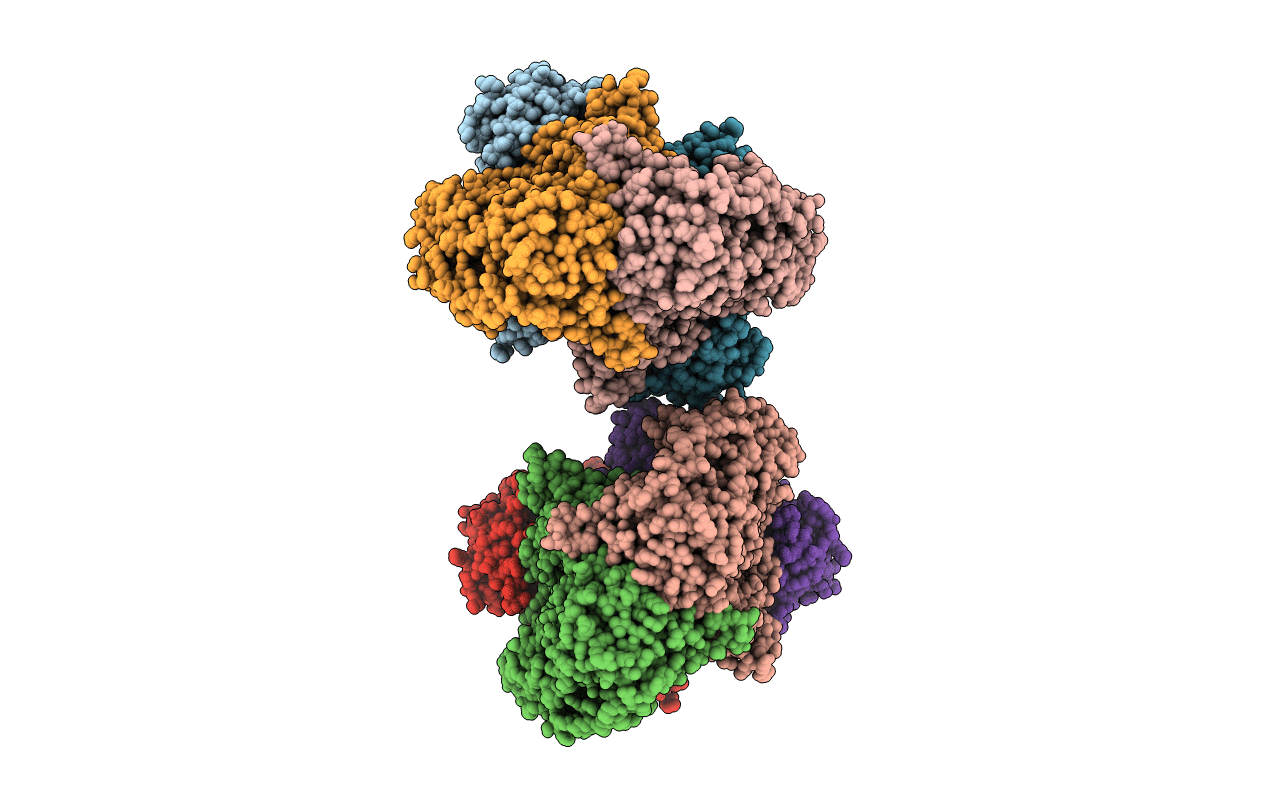 7B2E image