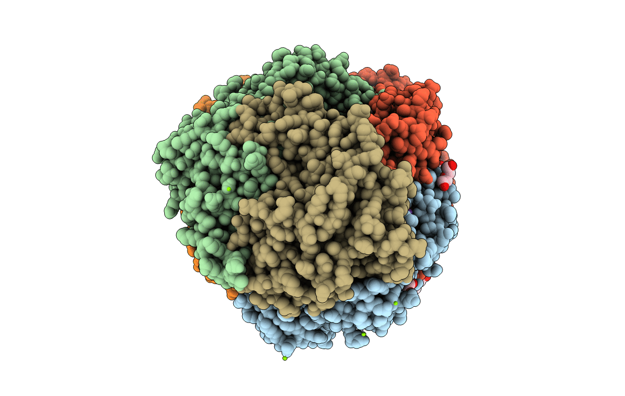 7B2H image