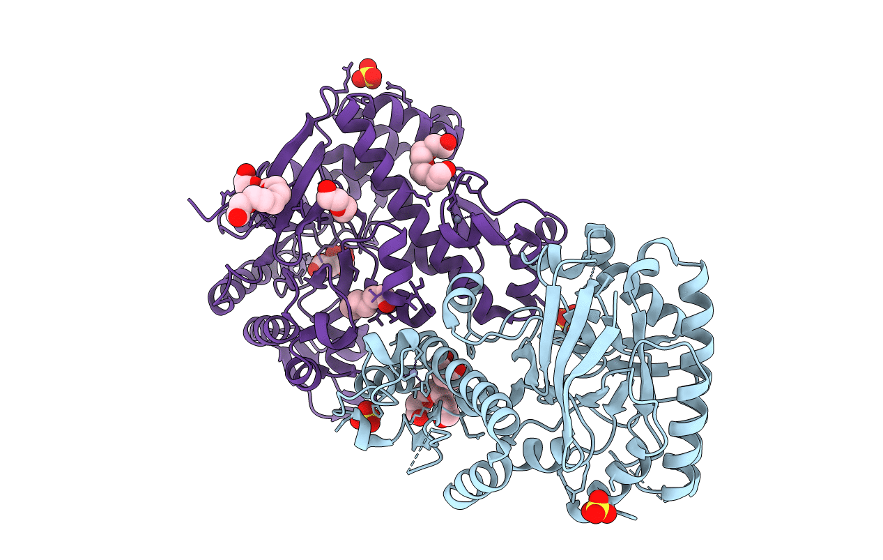 7B2I image