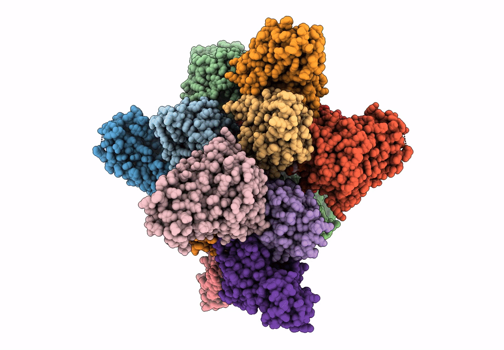 7B2L image