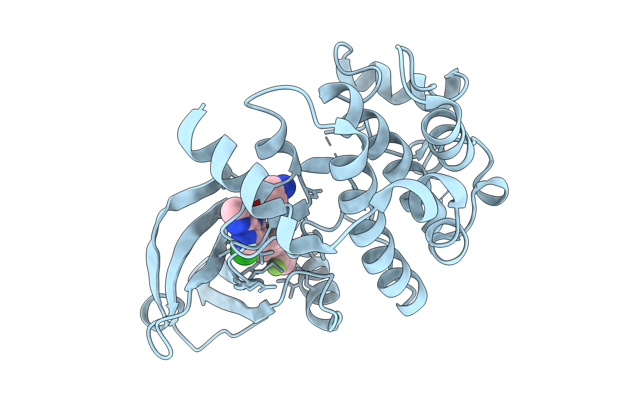 7B31 image