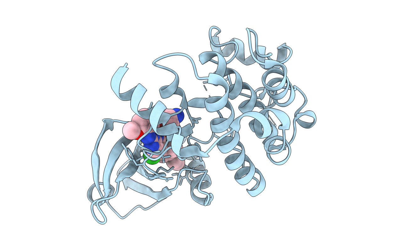 7B32 image