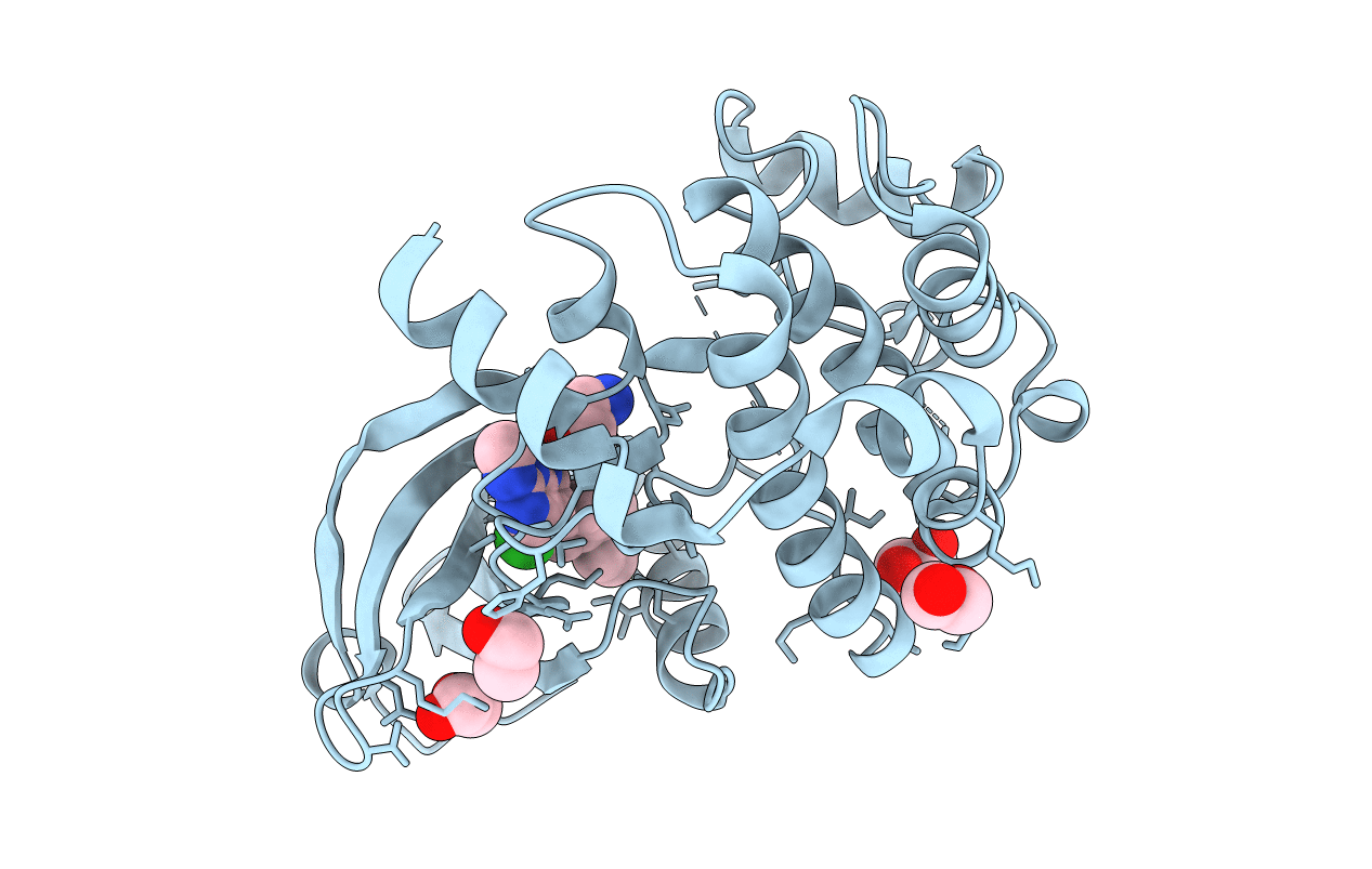 7B33 image