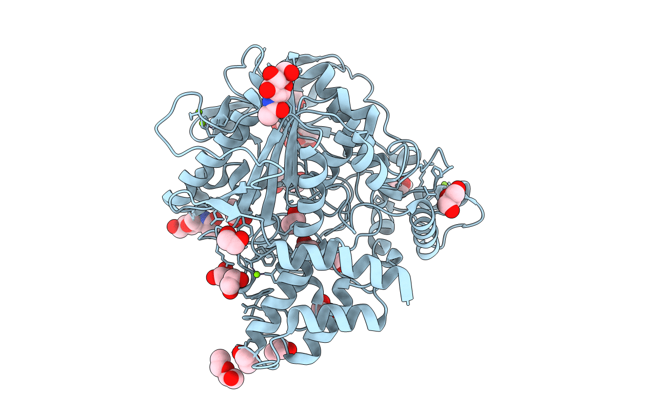 7B38 image