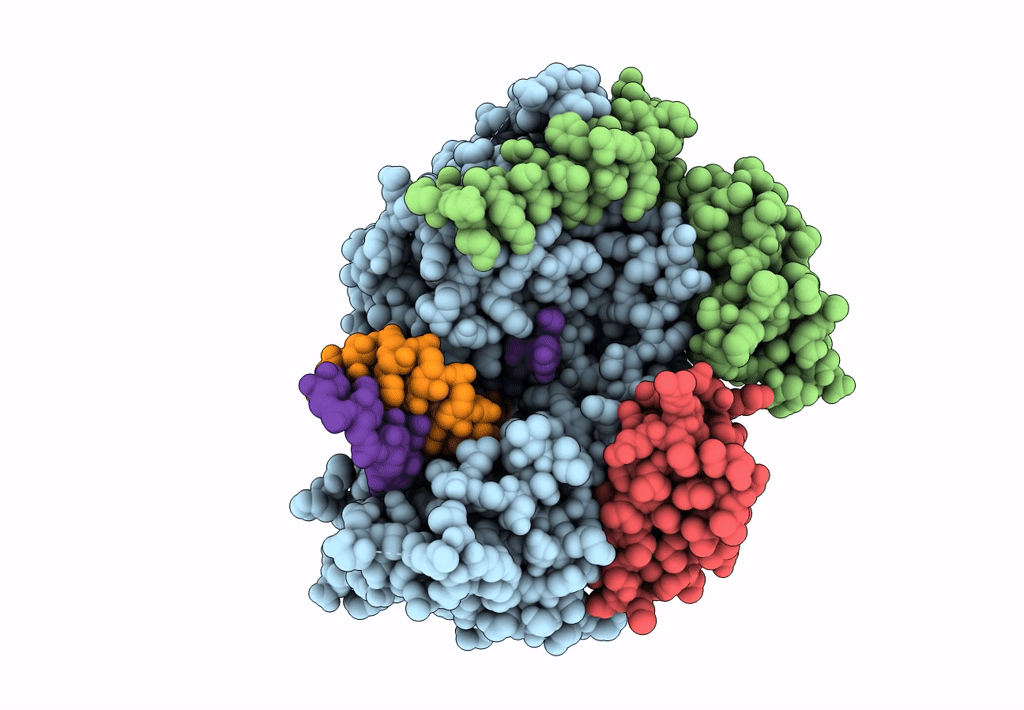 7B3D image