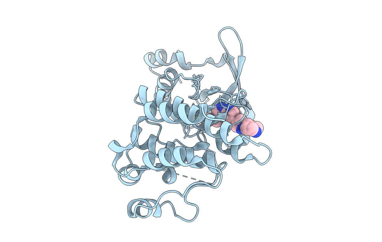 7B42 image
