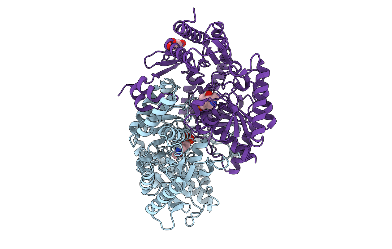 7B4I image